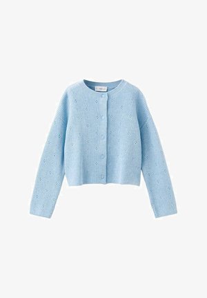 Svetlo modra pletena jopa z dolgimi rokavi, zapenjanjem na gumbe spredaj in subtilnim vzorcem odprtin v obliki src.