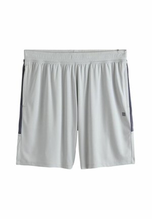 Next, REGULAR FIT - ACTIVE TRAINING GYM SHORTS  . - Tracksuit bottoms - ice grey