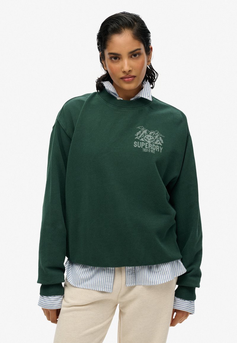 Sweatshirt verde in cotone con scollo rotondo e vestibilità over, con una grafica di montagna e logo sul petto, indossato sopra una camicia a righe blu.