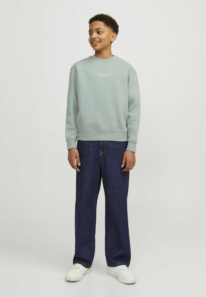 Jack & Jones Junior JORVESTERBRO CREW NECK NOOS - Ikdienas džemperis - gray mist