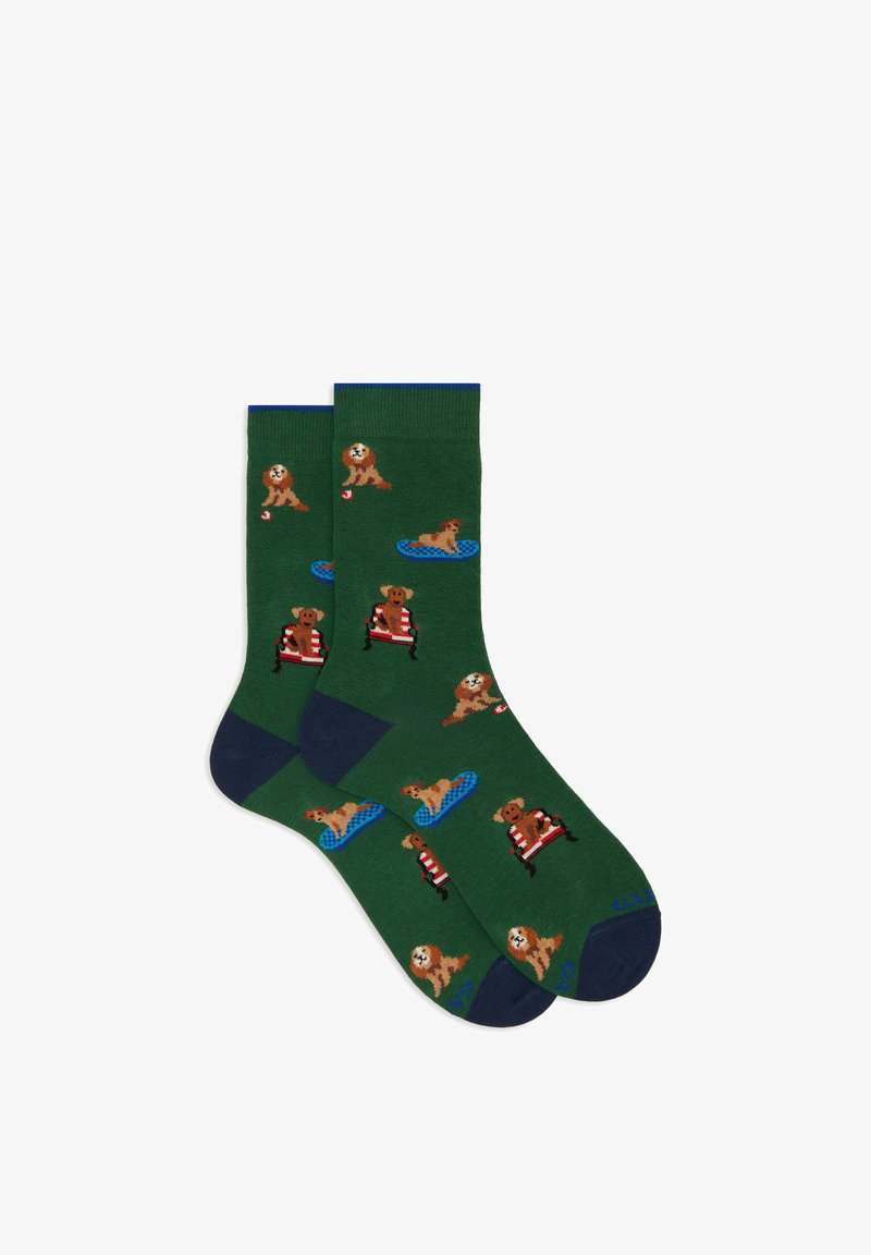 Calzini verdi con motivi giocosi di cani, inclusi cani su tavole da surf e sedie da bagnino, con dettagli in contrasto blu navy.