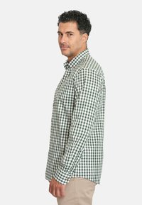 EMBLEMS Camisa - verde