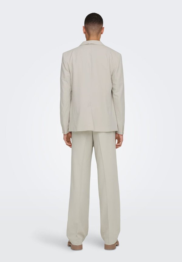 PHIL DB REG  - Blazer jacket - moonstruck3