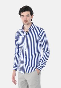 Camicia a maniche lunghe blu e bianca a righe con colletto a punta, caratterizzata da righe sottili e chiusure a bottone nel davanti.