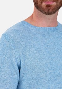 Hellblauer Baumwollpullover mit Rundhalsausschnitt, feiner Strickstruktur und kurzen Ärmeln. Glatte Oberfläche mit minimalen Details.