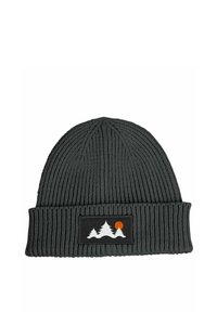 Neverless MIT PATCH BÄUME - Beanie - dunkelgrau