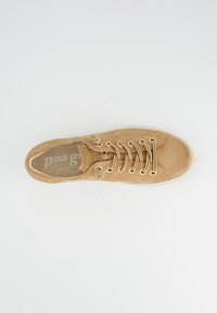 Baskets en suède beige avec œillets et lacets dorés. Bout rond et design minimaliste. L'intérieur présente le logo de la marque sur un fond clair.