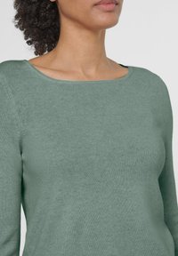 Grüner, taillierter Pullover mit glatter Textur und weitem Rundhalsausschnitt, der ein nahtloses Design mit langen Ärmeln zeigt.