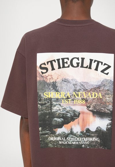 Camiseta marrón con un gran gráfico que presenta un paisaje montañoso, un lago y el texto: "STIEGLITZ SIERRA NEVADA EST. 1988" en colores vivos.