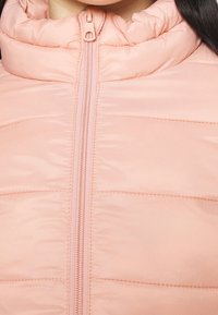 Giacca imbottita rosa chiaro con colletto alto, chiusura frontale a zip e texture trapuntata. Presenta cuciture orizzontali e tessuto liscio.