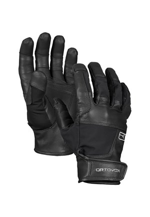 Gloves - black raven