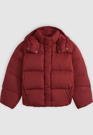Levi's®, TATE BUBBLE - Veste d'hiver - warm cabernet nylon