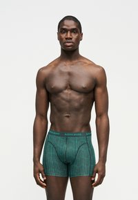 Μυώδης άνδρας που στέκεται όρθιος και κοιτάζει μπροστά, φοράει πράσινα μποξεράκια Björn Borg με σχέδια, σε απλό ανοιχτό φόντο.