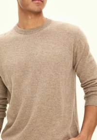 Beiger Strickpullover mit langen Ärmeln und Rundhalsausschnitt; weiche Textur, minimalistisches Design, gerippte Bündchen und Saum, subtile tonale Variationen.
