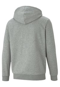 Puma Felpa con zip - grey