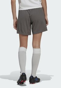 adidas Performance ENT22 SHO LW - Korte broeken - grey