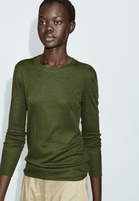 Maglione verde oliva a maniche lunghe in morbido tessuto, con scollo a girocollo e maniche lunghe fino ai polsi, abbinato a pantaloni beige chiaro.