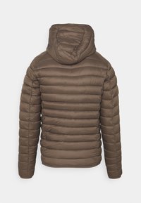 Braune Daunenjacke mit Kapuze, vertikalen Steppnähten, glatter Textur und einem Reißverschluss auf der Rückseite.