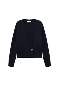 Cardigan - blue