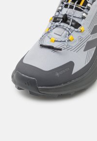 Adidas Terrex TERREX TRAILMAKER 2 GORE-TEX X NATGEO - Fjellsko - halo silver/grey four/grey six