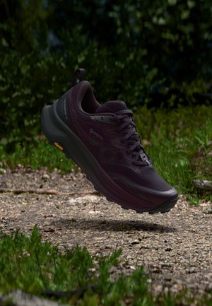 Saucony, PEREGRINE 16 GTX - Обувки за бягане по пресечен терен - eggplant/ebony