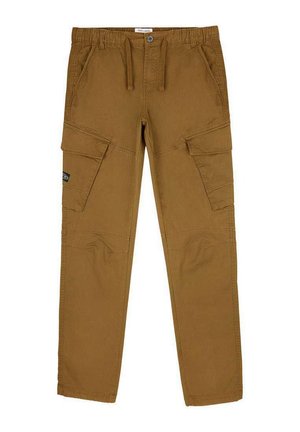 Pantalon cargo marron avec ceinture élastique, cordon de serrage, fermeture à boutons, poches avant et poches à rabat sur les cuisses.