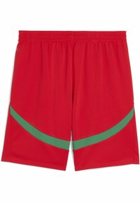 Röda träningsshorts med ett grönt böjt stripe-mönster. Tillverkade av lättviktigt material med elastisk midja för komfort.