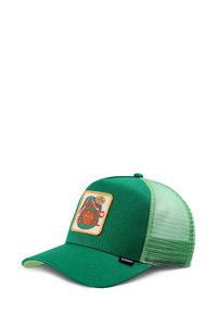 AVO FESTIVAL - Cap - green