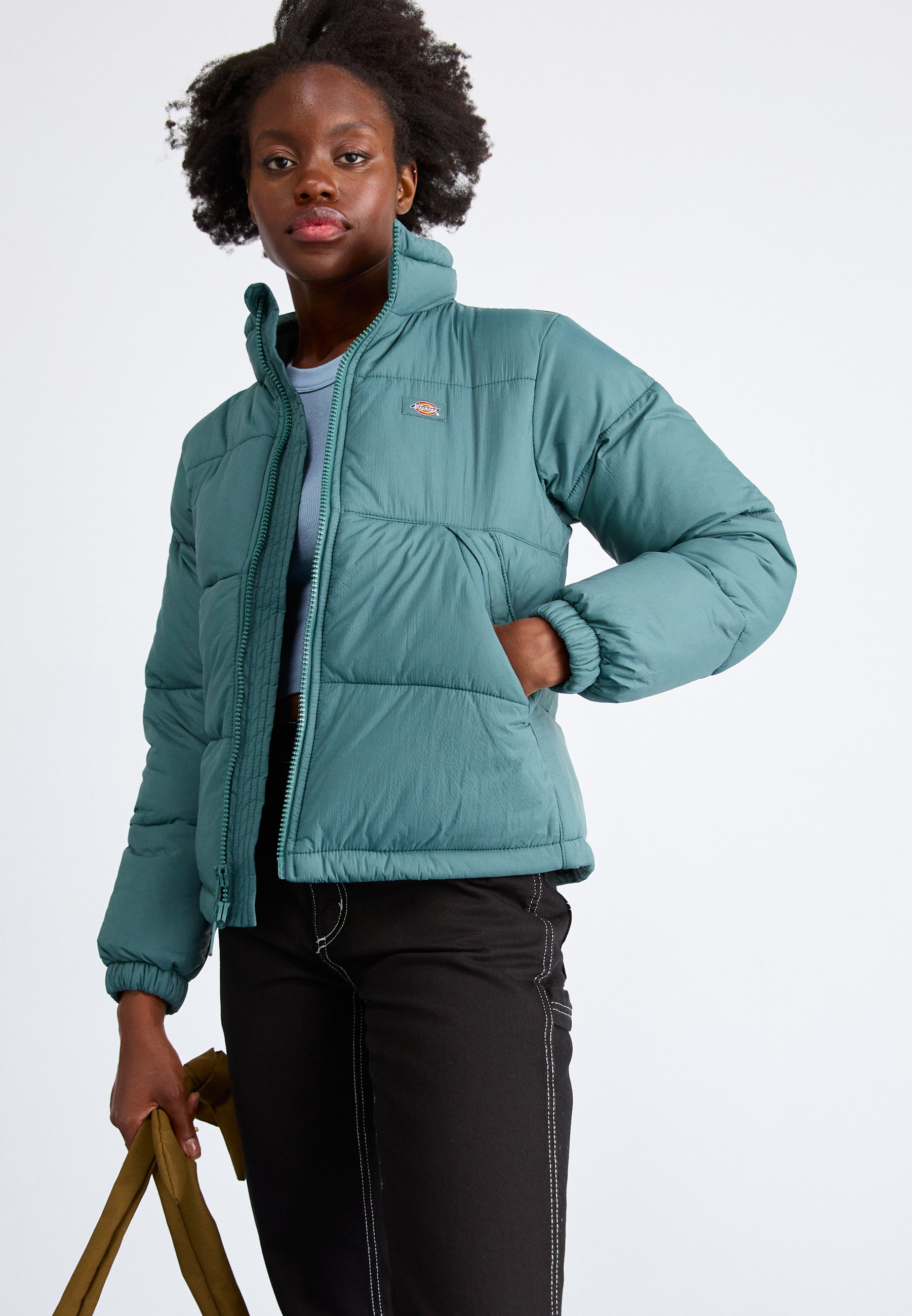 Dickies ALATNA JACKET - Winter jacket - lincoln green/dark green