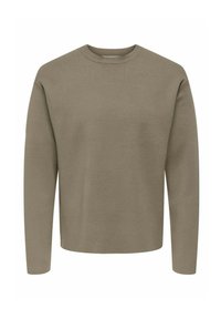 Maglione verde oliva, a maniche lunghe, con scollo a girocollo; realizzato in un materiale morbido con una trama liscia; design minimalista, senza motivi o accenti.