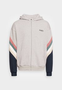 Felpa grigia con zip, dotata di cappuccio e maniche a strisce multicolori in rosa, verde, bianco e blu navy, con un piccolo logo sul petto.