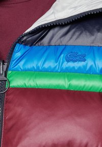 Intérieur de doudoune colorée avec des panneaux bleus, verts et bordeaux. Fermeture éclair avec logo Lacoste brodé en bleu. Texture lisse.