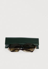 Óculos de sol castanhos de tartaruga com forma retangular, acompanhados por uma caixa de couro verde escuro com logotipo em relevo.