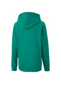Felpa verde con una texture morbida, maniche lunghe e un ampio cappuccio. Presenta un design semplice e una vita elastica nella parte inferiore.