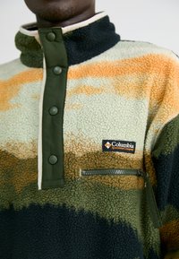 Columbia HELVETIA™ PRINTED HALF SNAP - Felpa in pile - greenscape