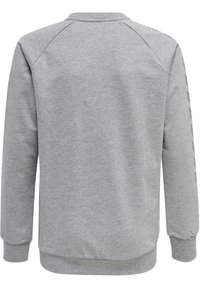 Felpa grigia con collo tondo, maniche lunghe a raglan e polsini a coste. La parte posteriore è liscia con una texture sottile e senza marchi visibili.