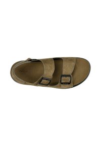 Braune Veloursleder-Sandale mit zwei verstellbaren schwarzen Schnallen und flacher Sohle, für Komfort mit offenem Zehen- und Fersenbereich gestaltet.