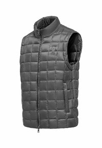 Grijze mouwloze puffer vest met hoge kraag, gequilte ontwerp, rits aan de voorkant en zijzakken. Glad, glanzend exterieur.