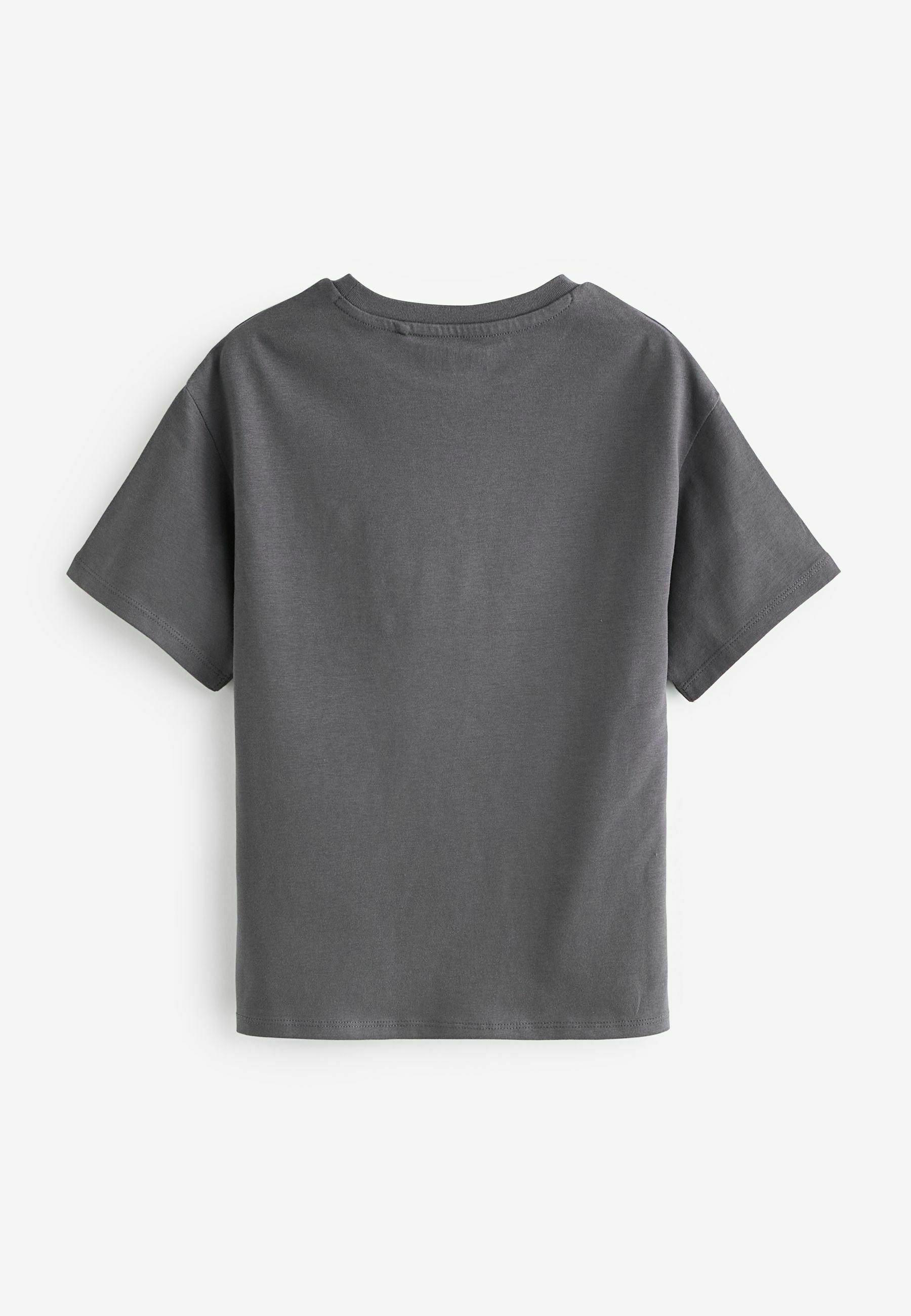 Tシャツ・カットソー RONRON DOT LOGO BASIC FIT T SHIRT GREY RR25BST1466GR Regular fit Badge t-shirt - Dark Grey Melange
