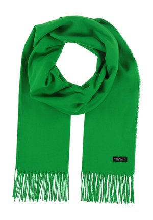 Sciarpa verde realizzata in un tessuto morbido e leggero, con una finitura a frangia alle estremità e un'etichetta nera con testo bianco.