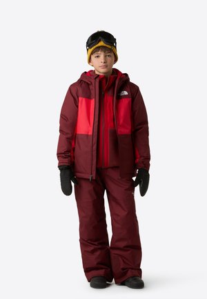 FREEDOM INSULATED PANT - Pantaloni de schi - sumac