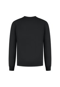 Zwarte lange mouw crewneck trui met geribde manchetten en onderzoom, getoond vanaf de achterkant op een witte achtergrond.