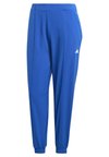 AEROREADY ESSENTIALS MINIMAL BRANDING WOVEN - Joggebukse - semi lucid blue