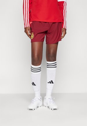 adidas Performance DFB A - National team wear - team burgundy