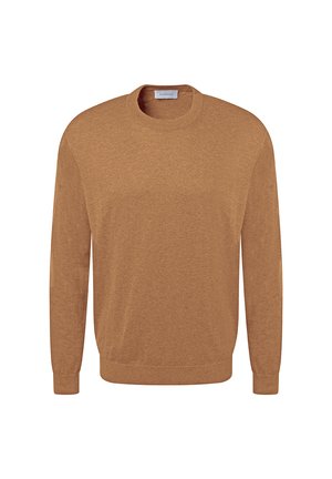 Brauner Pullover aus weichem Material mit rundem Halsausschnitt, langen Ärmeln und geripptem Saum. Einfaches Design, ohne Muster oder Akzente.