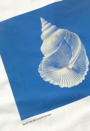 Dos conchas marinas blancas, una en espiral y otra de vieira, exhibidas sobre un fondo cuadrado azul con el texto "LO QUE EL MAR DEJA ATRÁS" debajo.
