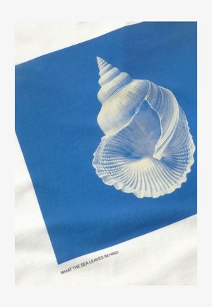 Dos conchas marinas blancas, una en espiral y otra de vieira, exhibidas sobre un fondo cuadrado azul con el texto "LO QUE EL MAR DEJA ATRÁS" debajo.