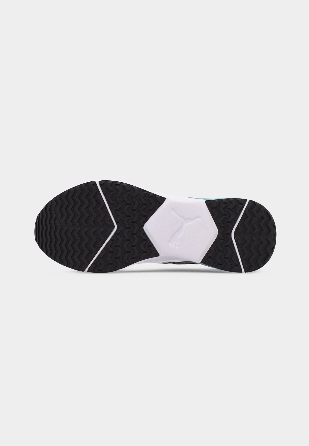 DISPERSE XT 4