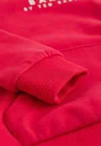 Sudadera roja con puños acanalados y una textura suave. Presenta un logo en texto blanco en el pecho, mostrando un diseño simple y moderno.