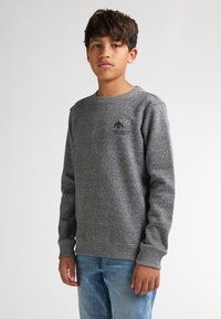 Junge mit braunen Haaren, der einen grauen Sweatshirt mit gesticktem Vogel und blue Jeans trägt, steht gegen einen schlichten weißen Hintergrund.